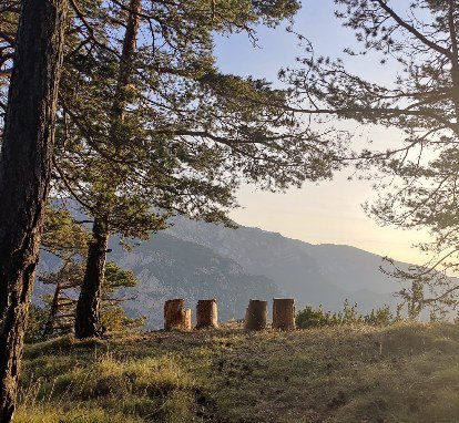 Asientos de tronco frente a las montañas del pre-Pirineo
